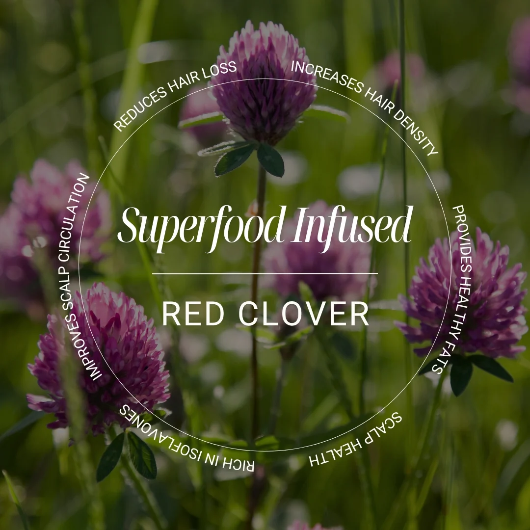 Biotop 04 Shedding Shampoo - Image 6